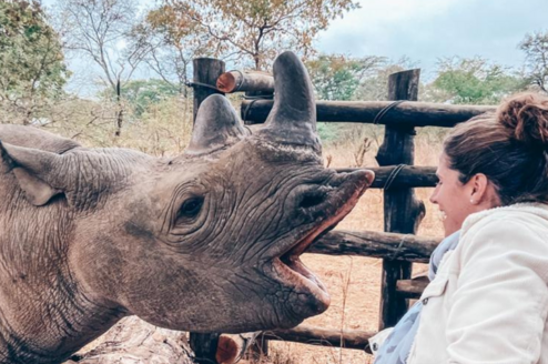 Volunteer with Black Rhino